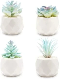 VIVERIE Rose Pink Faux Succulents In White Ceramic Pot Set Of 4 - Plant Gifts, Cute Aesthetic Pink Room, Home Decor Accents, Centerpieces, Bathroom Decor, Mum Gifts, Cactus Decor, Succulents Wedding -Organic Plant Shop 313EIZYQoaL. AC