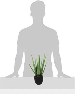 Beebel Artificial Succulent Fake Aloe For Bathroom Home Office Decor,Faux Succulent Plant With Black Plastic Planter,Artificial Potted Plant For House Decor (Aloe Succulent/13 Leaf) -Organic Plant Shop 31GWFFrnxSL