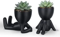 Galiejar Fake Succulents,Mini Succulents Plants Artificial With Ceramic Pots,Cute Home Decor Bathroom Decor Desk Decor Bedroom Decor Office Decor For Women (2Pack, Black) 11 Galiejar Fake Succulents,Mini Succulents Plants Artificial With Ceramic Pots,Cute Home Decor Bathroom Decor Desk Decor Bedroom Decor Office Decor For Women (2Pack, Black) -Organic Plant Shop 31OlpZnSKUL. AC
