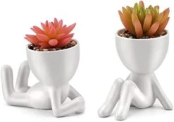 WOODWORD Fake Succulent, Mini Succulents Plants Artificial In Black Modern Human Shaped Ceramic Pots Cute Desk Decor For Office Decor For Women, Bathroom 2PCS -Organic Plant Shop 31Pb2BvRAWL. AC