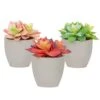 Mingfuxin Artificial Plants, 3 Pack Realistic Faux Succulents In Pots With Flowers For Indoor Office Desk Decor Home Bedroom