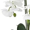 Nearly Natural 4570 Triple Phalaenopsis Orchid In Glass Vase,Green/White