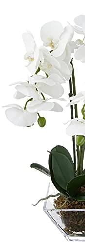 Nearly Natural 4570 Triple Phalaenopsis Orchid In Glass Vase,Green/White