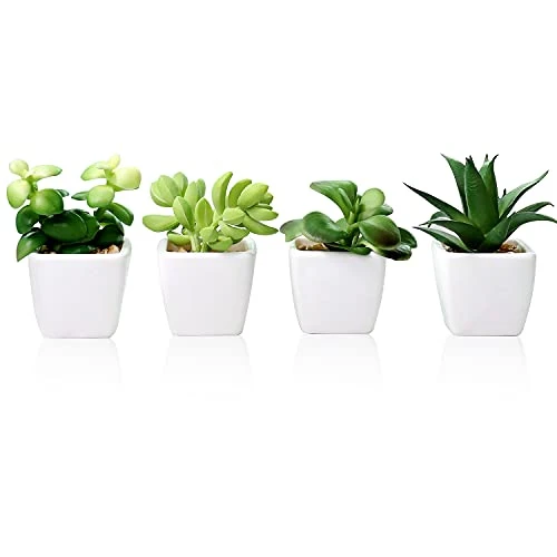 Artificial Succulent Plants Fake Succulent Plants Artificial Faux Succulents 4pcs Mini Potted Succulents For Home Office Room Decoration (Green) 1 Artificial Succulent Plants Fake Succulent Plants Artificial Faux Succulents 4pcs Mini Potted Succulents For Home Office Room Decoration (Green)