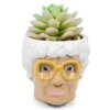 Silver Buffalo The Golden Girls Sophia Face Mini Ceramic Planter Decor | Official TV Show Collectible | Small Flower Pot For Indoor Plants, Includes Artificial Succulent | 3 Inches