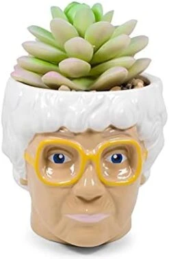 Silver Buffalo The Golden Girls Sophia Face Mini Ceramic Planter Decor | Official TV Show Collectible | Small Flower Pot For Indoor Plants, Includes Artificial Succulent | 3 Inches -Organic Plant Shop 31hQdN1wNkS. AC