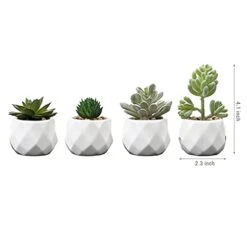 MyGift Set Of 4 Mini Assorted Artificial Succulent Fake Plants In Modern White Textured Ceramic Plant Pots -Organic Plant Shop 31i5EeVpB8S
