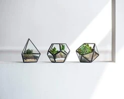 Mkono Artificial Succulent In 3 Pack Mini Glass Geometric Terrarium, Miniature Potted Faux Plant Bookshelf Desk Boho Office Room Decor For Women Girls Dorm Gift Idea, Black -Organic Plant Shop 31i8cRF7wkL