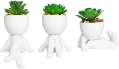 Zerzsy 3 PCS Cute Artificial Succulent Plants With Creative Human Shaped Pots, Mini Potted Succulents Decor For Home Decor (Matte Black) -Organic Plant Shop 31kDNfyvkL. AC