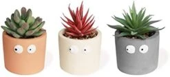 Zerzsy 3 PCS Cute Artificial Succulent Plants With Creative Human Shaped Pots, Mini Potted Succulents Decor For Home Decor (Matte Black) -Organic Plant Shop 31mbcdtxuFL. AC