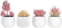 Tiita Artificial Faux Succulents In Pots Fake Plants Ceramic Arrangement Planter Small Mini Tiny Decoration For Home Office Desk Window Sill Bathroom Bedroom Outdoor Indoor 4 Set -Organic Plant Shop 31t6yKUJRL. AC