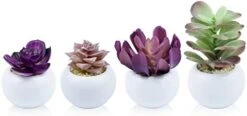 Tiita Artificial Faux Succulents In Pots Fake Plants Ceramic Arrangement Planter Small Mini Tiny Decoration For Home Office Desk Window Sill Bathroom Bedroom Outdoor Indoor 4 Set -Organic Plant Shop 31wliordvmL. AC