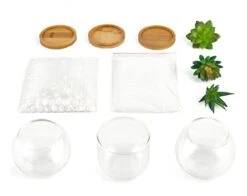 Mkono Artificial Succulent In Clear Glass Pot, Set Of 3 Mini Potted Fake Plants For Women Office Decor Small Faux Green Plant With BambooTray For Bookshelf Bathroom Kitchen Decor Tabletop Centerpiece -Organic Plant Shop 31xBoR5xQbL