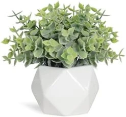 Tiita Artificial Faux Succulents In Pots Fake Plants Ceramic Arrangement Planter Small Mini Tiny Decoration For Home Office Desk Window Sill Bathroom Bedroom Outdoor Indoor 4 Set -Organic Plant Shop 410YRkQwxL. AC