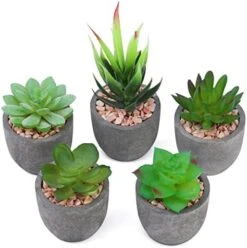 Iuuidu Artificial Potted Plant, Faux Succulent In Pot Emotional Cement Potted Plant Animated Artificial Succulents Decor For Home Living Room Bedroom And Office(Shy) 24 Iuuidu Artificial Potted Plant, Faux Succulent In Pot Emotional Cement Potted Plant Animated Artificial Succulents Decor For Home Living Room Bedroom And Office(Shy) -Organic Plant Shop 411COUMVyDL. AC