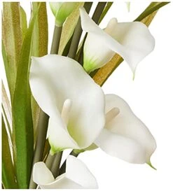 Nearly Natural 15.5in. Calla Lily And Grass Artificial Arrangement In Vase -Organic Plant Shop 411UFpOwgxS