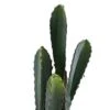 Simple Elements Faux Desert Candle Cactus With Plastic Pot | Artificial Cactus Plant | Home Décor, Event Décor, Outdoor Décor, Party Décor And Wedding Décor | 23" H X 5.5" W (Pot)