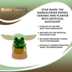 Silver Buffalo Star Wars: The Mandalorian Baby Yoda The Child Grogu 4-Inch Ceramic Mini Planter With Artificial Succulent -Organic Plant Shop 41212pJKGxL