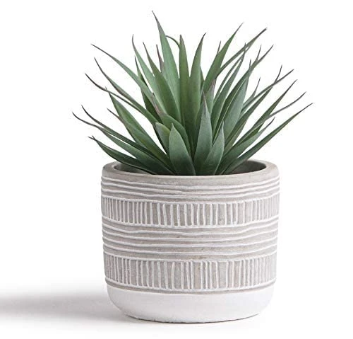 Kurrajong Farmhouse 8" X 4.5" Artificial Plant In Pot | Beautiful Faux Plant For Bedroom Decor | Fake Plant For Shelf Decor | Realistic Faux Succulent For Desk Decor | Artificial Succulent Plant Decor 1 Kurrajong Farmhouse 8" X 4.5" Artificial Plant In Pot | Beautiful Faux Plant For Bedroom Decor | Fake Plant For Shelf Decor | Realistic Faux Succulent For Desk Decor | Artificial Succulent Plant Decor