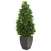 Nearly Natural 56-in. Bay Leaf Cone Topiary Artificial UV Resistant In Black Planter (Indoor/Outdoor) Silk Trees Green