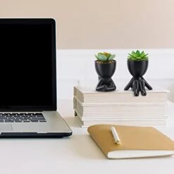 WOODWORD Fake Succulent, Mini Succulents Plants Artificial In Black Modern Human Shaped Ceramic Pots Cute Desk Decor For Office Decor For Women, Bathroom 2PCS -Organic Plant Shop 412p33Qc2ML