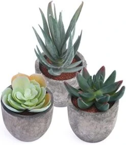 Iuuidu Artificial Potted Plant, Faux Succulent In Pot Emotional Cement Potted Plant Animated Artificial Succulents Decor For Home Living Room Bedroom And Office(Shy) 23 Iuuidu Artificial Potted Plant, Faux Succulent In Pot Emotional Cement Potted Plant Animated Artificial Succulents Decor For Home Living Room Bedroom And Office(Shy) -Organic Plant Shop 412t94VyBsL. AC