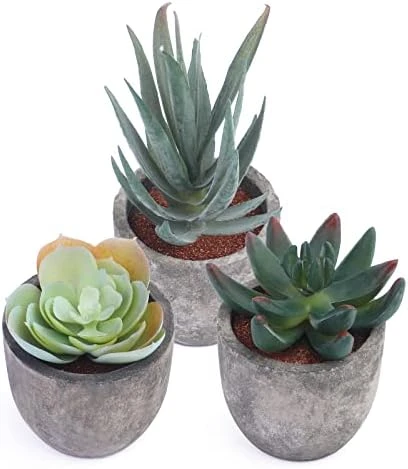 Iuuidu Artificial Potted Plant, Faux Succulent In Pot Emotional Cement Potted Plant Animated Artificial Succulents Decor For Home Living Room Bedroom And Office(Shy) 9 Iuuidu Artificial Potted Plant, Faux Succulent In Pot Emotional Cement Potted Plant Animated Artificial Succulents Decor For Home Living Room Bedroom And Office(Shy) - Image 9