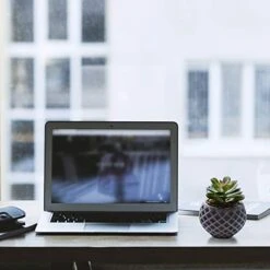 Succulent Decor, Fake Succulents, Succulent Wall Decor, Succulents Artificial Decor, Small Fake Plant, Succulent Decoration, Potted Plants, Set Of 3 Succulents -Organic Plant Shop 412wJ1ODZNL