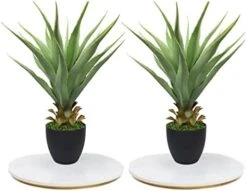 27" H Sansevieria Snake Plant - Artificial Agave – Green Color– With Pot – From MOMO Plant -Organic Plant Shop 41383NbkBWL. AC