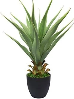 27" H Sansevieria Snake Plant - Artificial Agave – Green Color– With Pot – From MOMO Plant -Organic Plant Shop 413MpA4tW1L. AC