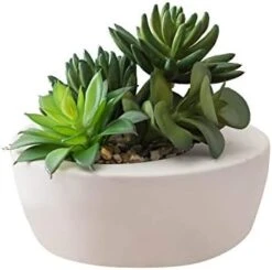 FAVRD Artificial Succulents In Cement Pot Environmentally Conscious Partly Recycled Fake Plants Artificial Plants Indoor Home Office Decor Desk Faux Plants, 8.5 X 8.5 X 8.75 Inches, Green, (10181-A) -Organic Plant Shop 413kZAyvC5L. AC