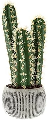 Artificial Sansevieria Snake Plant – 29.5-Inch Potted Fake Upward Foliage For Home Or Office Decoration – Pointed Polyester Leaves By Pure Garden 7 Artificial Sansevieria Snake Plant – 29.5-Inch Potted Fake Upward Foliage For Home Or Office Decoration – Pointed Polyester Leaves By Pure Garden - Image 7