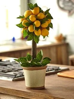 Nearly Natural Lemon Ball Arrangement Topiary, Yellow,19.5'' X 8.5'' X 8.75'' - 4865 -Organic Plant Shop 414qlAZJ3PL