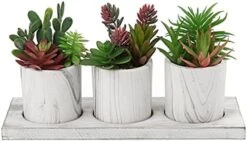 Briful Succulents Plants Artificial In Marble Pot Set Of 3 Small Fake Succulents Plants Faux Succulents With Wood Tray For Table Shelf Office Home Decorations 17 Briful Succulents Plants Artificial In Marble Pot Set Of 3 Small Fake Succulents Plants Faux Succulents With Wood Tray For Table Shelf Office Home Decorations -Organic Plant Shop 4156HTermrS. AC