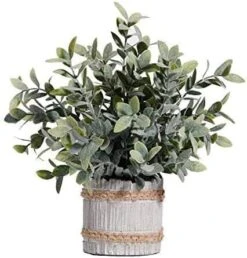 Ifreeside Small Potted Artificial Plants Plastic Fake Greenery Topiary Shrubs For Home Office Farmhouse Bathroom Tabletop Indoor Decor Green Rosemary 15 Ifreeside Small Potted Artificial Plants Plastic Fake Greenery Topiary Shrubs For Home Office Farmhouse Bathroom Tabletop Indoor Decor Green Rosemary -Organic Plant Shop 416DM8E3ubL. AC