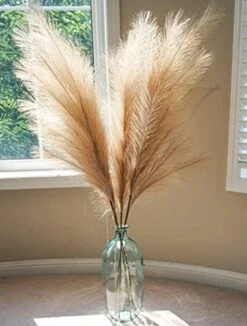 Boho Wish Faux Pampas Grass Decor Tall Set Of 7 PCs -40 Inches Non-Shedding, Floor And Office Vase Filling-Fluffy Floral Branches -Wedding Decor- Home And Bedroom Table Decoration (Brown) -Organic Plant Shop 417 dNjFVkL. AC