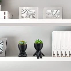 WOODWORD Fake Succulent, Mini Succulents Plants Artificial In Black Modern Human Shaped Ceramic Pots Cute Desk Decor For Office Decor For Women, Bathroom 2PCS -Organic Plant Shop 417VoV9QIpL