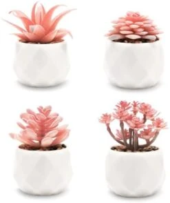 VIVERIE Rose Pink Faux Succulents In White Ceramic Pot Set Of 4 - Plant Gifts, Cute Aesthetic Pink Room, Home Decor Accents, Centerpieces, Bathroom Decor, Mum Gifts, Cactus Decor, Succulents Wedding -Organic Plant Shop 417eEajrSuL. AC