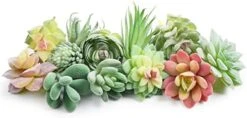 Happyhapi 12 Pcs Artificial Succulents Mini Fake Plants Unpotted Faux Succulent For Craft, Small Plastic Succulents Assortment In Flocked Green Floral Decor For Party, Cake, Garden & Outdoor -Organic Plant Shop 418WXm XjsL. AC
