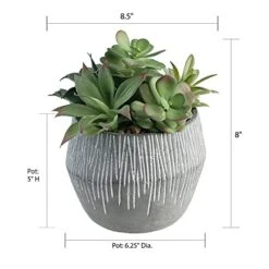 FAVRD Artificial Succulents In Cement Pot Environmentally Conscious Partly Recycled Fake Plants Artificial Plants Indoor Home Office Decor Desk Faux Plants, 8.5 X 8.5 X 8.75 Inches, Green, (10181-A) -Organic Plant Shop 418XXI2tAhL