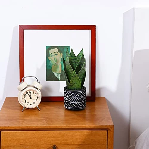 Kazeila 3 Pack Artificial Potted Plants,Fake Snake Plant,Greenery Eucalyptus Leaves And Flocked Sage Plant,Faux Desk Plants For Indoor Home Office Farmhouse Kitchen Bathroom Table Decor 2 Kazeila 3 Pack Artificial Potted Plants,Fake Snake Plant,Greenery Eucalyptus Leaves And Flocked Sage Plant,Faux Desk Plants For Indoor Home Office Farmhouse Kitchen Bathroom Table Decor - Image 2