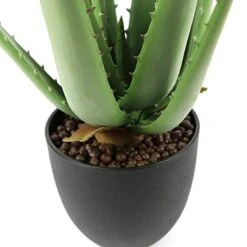 Beebel Artificial Succulent Fake Aloe For Bathroom Home Office Decor,Faux Succulent Plant With Black Plastic Planter,Artificial Potted Plant For House Decor (Aloe Succulent/13 Leaf) -Organic Plant Shop 419gpo7SpRL