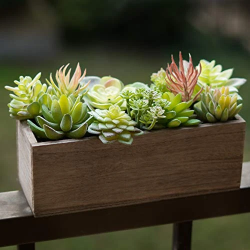 Thatswut - 35 Pack Bulk Large Assorted Realistic Artificial Faux Succulents Aloe Plants Realistic Fake Succulent Plants, Largest Set Of Succulents 6 Thatswut - 35 Pack Bulk Large Assorted Realistic Artificial Faux Succulents Aloe Plants Realistic Fake Succulent Plants, Largest Set Of Succulents - Image 6