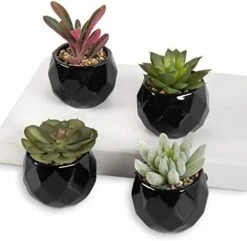 MyGift Miniature Artificial Succulents, Indoor Fake House Plants In Round White Geometric Ceramic Pots, Set Of 4 -Organic Plant Shop 41A2a7nChAL. AC