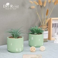 Der Rose 2 Packs Fake Plants Succulents Plants Artificial For Living Room Bedroom Aesthetic Decor -Organic Plant Shop 41A4UZFVD6L