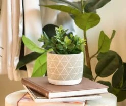 Kurrajong Farmhouse Artificial Succulent Plant 7.5" X 4.5" | Beautiful Faux Plant For Home Decor Indoor | Realistic Artificial Plants | Fake Plants For Desk Decor | Fake Succulent In Pot -Organic Plant Shop 41Aq616BnqL