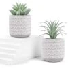 Der Rose 2 Packs Fake Plants Artificial Succulents Plants In Pots For Home Boho Decor Indoor
