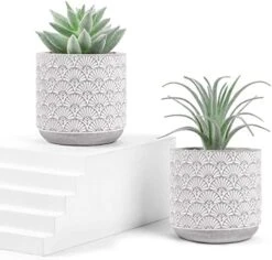 Der Rose 2 Packs Fake Plants Artificial Succulents Plants In Pots For Home Boho Decor Indoor -Organic Plant Shop 41AqohkHlOL. AC