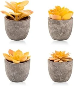 Jelofly Fake Plants Artificial Succulent Plants Assorted Decorative Faux Succulent Potted Fake Cactus Cacti Plants Gray Pots, Set Of 5 -Organic Plant Shop 41C394tVZjL. AC