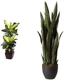 Nearly Natural, Green 4855 35in. Sansevieria With Black Planter & 6ft. Ficus Artificial Trees, 72in, Green -Organic Plant Shop 41CLJ53F9BL. AC 1